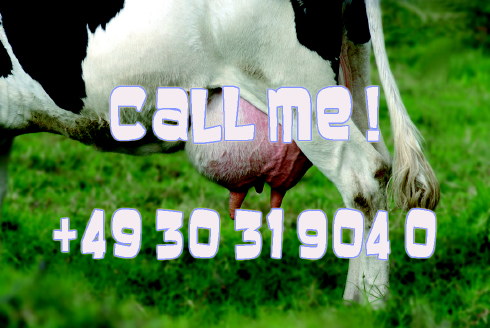Call Me